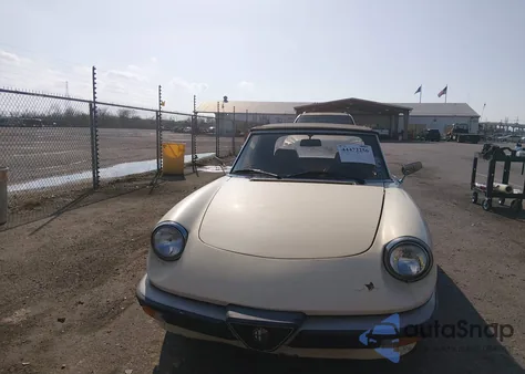 1987 Alfa Romeo Spider Graduate z USA, uszkodzony, nr VIN ZARBA5647H1045364